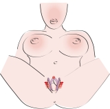 Intimate Spreader Lila