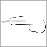 PPlug 14-Piece Dilator Set