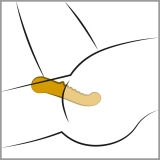 Your New Favourite G-Spot Vibr