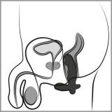 ANOS Cock shaped butt plug wit