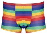 Herren Pants Rainbow XL