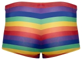 Herren Pants Rainbow XL