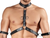 Herren Harness und Pants L