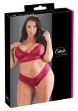 BH und Rio rot 2XL