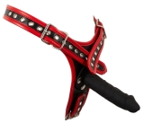 Bad Kitty String 2XL