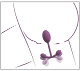 Vaginal trainer with bouncing