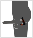 Rebel RC Butt Plug Rotating&Vi