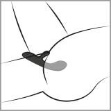 Intense Rabbit Vibrator