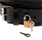 Leder Halsfessel u. Leine