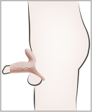 Realistixxx Real Sleeve Clit S