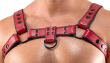 Herren Brustharness rot S-XL