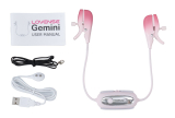 Gemini