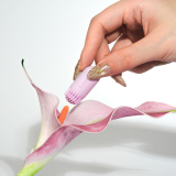 Svakom Plume Pastel Lilac