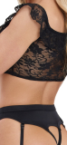 Servier Set M