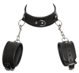 Leder Hals- und Handfessel